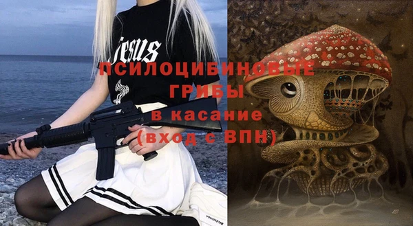 соль ск Фёдоровский