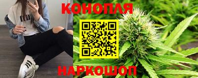 сатива Донецк