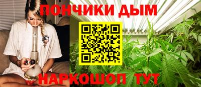 хмурый Дубна