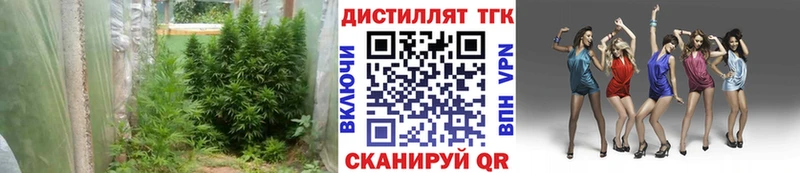 Дистиллят ТГК вейп с тгк  мега рабочий сайт  Луга 